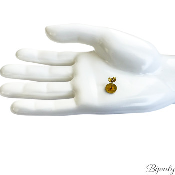 Boucles d'oreilles puces – Acier doré | Bijouly