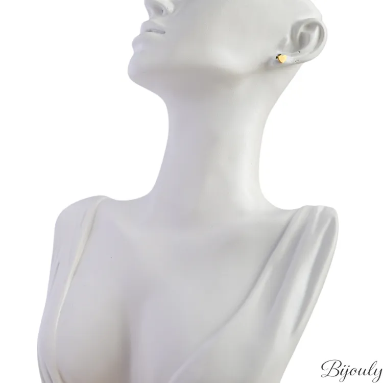 Puces dorées – Acier inoxydable discret | Bijouly
